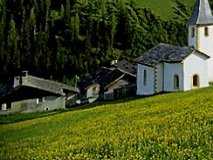 alps002_13x1.jpg