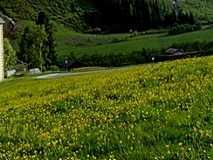alps002_13x2.jpg