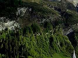 alps002_22x1.jpg