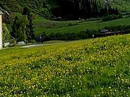 alps002_23x2.jpg