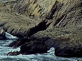 coast001_23x3.jpg