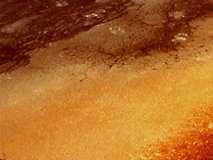 geyser001_13x1.jpg