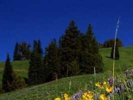 hill001_21x1.jpg