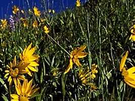 hill001_21x3.jpg
