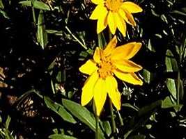 hill001_23x2.jpg