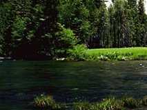 hill002_12x1.jpg