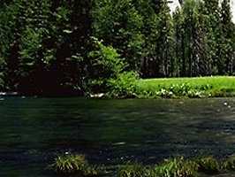 hill002_22x1.jpg