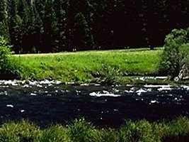hill002_22x3.jpg