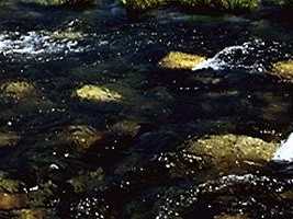 hill002_23x2.jpg