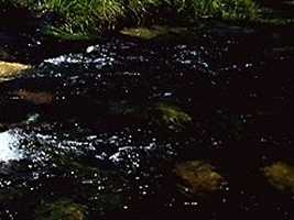 hill002_23x3.jpg