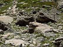 hill003_13x3.jpg