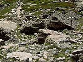 hill003_23x3.jpg
