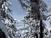 lake001_11x1.jpg