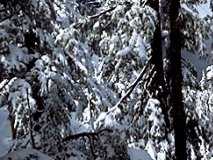 lake001_12x1.jpg