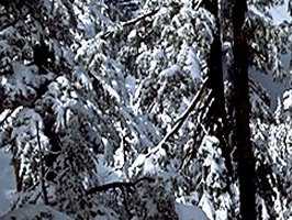 lake001_22x1.jpg