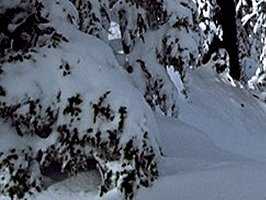 lake001_23x1.jpg
